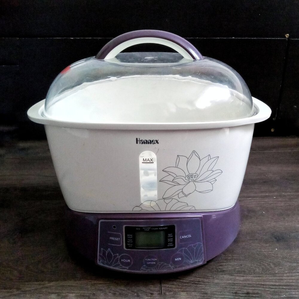 💮2/$100💮 Hannex Electric Stew Pot